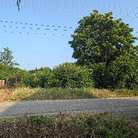 Eljárás tétel kép