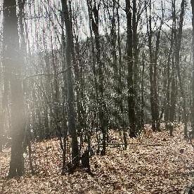 Eljárás tétel kép