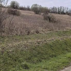 Eljárás tétel kép