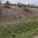 Eljárás tétel kép