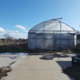 Eljárás tétel kép