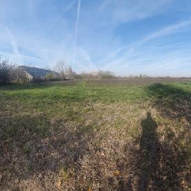 Eljárás tétel kép