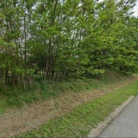 Eljárás tétel kép