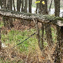 Eljárás tétel kép