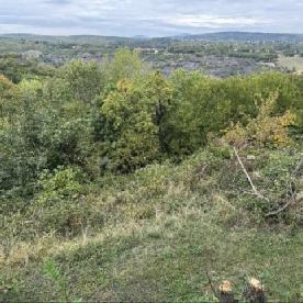 Eljárás tétel kép