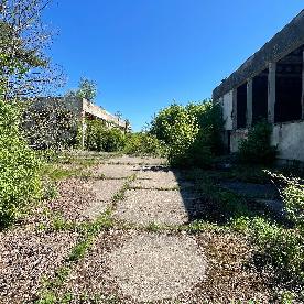 Eljárás tétel kép