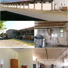 Eljárás tétel kép