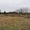 Eljárás tétel kép