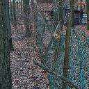 Eljárás tétel kép