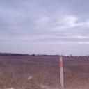 Eljárás tétel kép Eljárás tétel kép