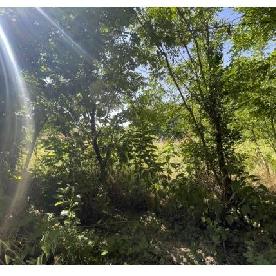 Eljárás tétel kép