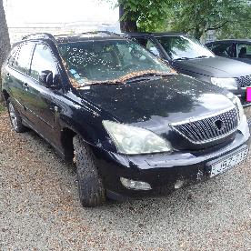 Eljárás tétel kép