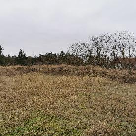 Eljárás tétel kép