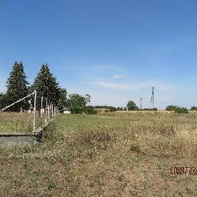 Eljárás tétel kép