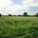 Eljárás tétel kép