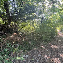 Eljárás tétel kép