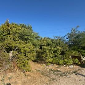 Eljárás tétel kép