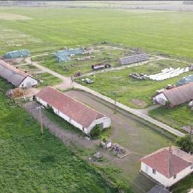 Eljárás tétel kép