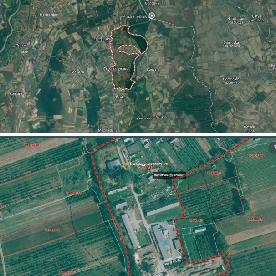 Eljárás tétel kép