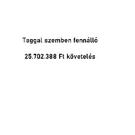 Ügyvezetővel szemben fennálló 25.702.388 FT követelés