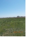 Eljárás tétel kép