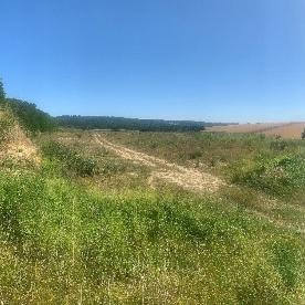 Eljárás tétel kép