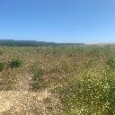 Eljárás tétel kép