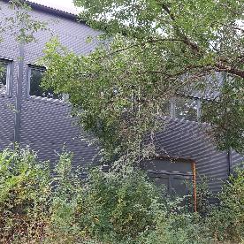 Eljárás tétel kép