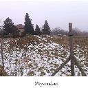 Eljárás tétel kép