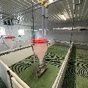 Eljárás tétel kép