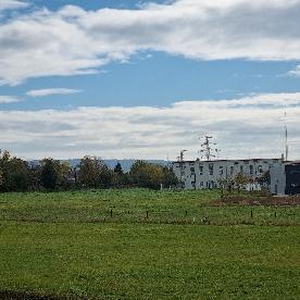 Eljárás tétel kép