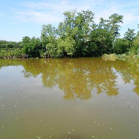 Eljárás tétel kép