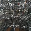 Eljárás tétel kép Eljárás tétel kép