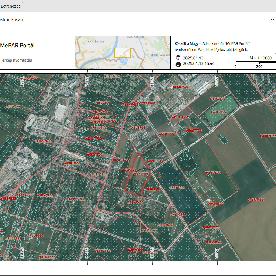 Eljárás tétel kép