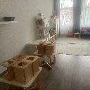 Eljárás tétel kép